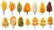 autumn trees, set of vector illustrations of cute trees and shrubs: oak, birch, aspen, linden, fir, sun and dog, different shapes