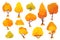 Autumn trees, shrubs, bushes with crown of different shapes cartoon set. Plants with colorful foliage.