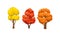 Autumn Trees with Trunk and Bright Foliage Vector Set