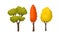 Autumn Trees with Trunk and Bright Foliage Vector Set