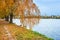 Autumn trees on the Volga embankment in Tver