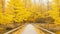 Autumn Trees with walking bridge with lake