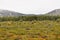 Autumn tundra on the background of mountains in Yakutia.