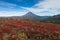 Autumn tundra and volcano