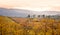 Autumn Tuscany landscape, vineyard in Chianti at s