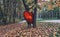 Autumn, between two trees stuck a red balloon in the shape of a heart, around a lot of dry leaves. Valentine`s Day, Valentine`s