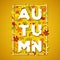 Autumn typography design with white paper cut text