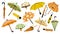 Autumn umbrella. Cartoon raincoats parasols and rain boots for rainy cold weather, colorful folded and opened seasonal