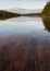 Autumn Urals landscape, river, seaweed, stones, river bed