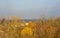 Autumn urban landscape on a Sunny day - yellow and colorful autumn trees, the sky with clouds with autumn haze