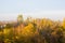 Autumn urban landscape on a Sunny day - yellow and colorful autumn trees, the sky with clouds with autumn haze