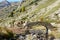 Autumn in the Vall d`incles, Andorra