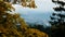 Autumn valley view at the Rossfeld Panorama road in the Bavarian Alps in Germany