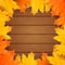 Autumn vector background with realistic maple leaves