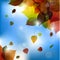 Autumn vector leafs background- fall illustration with back light