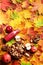 Autumn vegan and vegetarian food concept. Harvest time. Apples, pomegranate, nuts, spices, bottle of red drink - smoothie or juice
