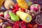 Autumn vegetables, berries and fruits. Seasonal autumn food - pu