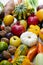 Autumn Vegetables, different types of pumpkins, and fruits, top view