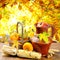 Autumn vegetables on golden forest background