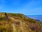 Autumn veiw from Vitosha Mountain in a warm October day. The Mountain meets the sky