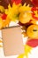 Autumn vertical close up photography with bright colorful tree leaves and ripe pumpkins on yellow background.