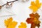 Autumn vibe composition. Blank greeting card mockup. PErfume jar, colorful maple leaves. White table background. Flat