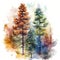 autumn vibe pine tree illustration