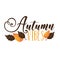 Autumn Vibes - autumnal phrase with colorful leaves.