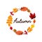 Autumn vibes. Fall. Cute vector illustration with lettering and