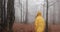 Autumn vibes, foggy forest. Attractive brunette woman with long hair wears yellow outfit and walks across the forest