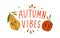 Autumn vibes hand drawn lettering composition with design elements vector flat illustration. Cozy fall quote with half