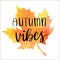 Autumn vibes - hand lettering phrase on orange watercolor maple leaf background.
