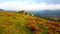 Autumn view across Dartmoor National park