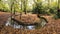 Autumn view with brook in Epping forest , Chingford London