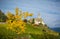 Autumn view of the Church of the idyllic village of Cortaccia. Cortaccia extends on the sunny side of the wine road. South Tyrol,