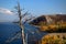 Autumn view of a dried pine tree on the slope of Mogutovaya Mountain and Mount Lysaya in the background.