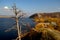 Autumn view of a dried pine tree on the slope of Mogutovaya Mountain and Mount Lysaya in the background.