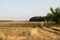 Autumn view. Harvested field.