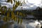 Autumn view of Tsaritsyno park in Moscow.