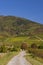 Autumn vineyard, Tokaj region, Great Plain and North, Hungary