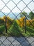 Autumn vineyard. View from behind metal wire mesh fence. Winemaking concept