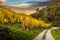 Autumn vineyards against old ruin of Hinterhaus castle in Spitz. Wachau valley. Lower Austria