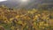 Autumn vineyards on a hills of famous austrian valley Wachau at the sunset time