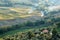 Autumn vineyards, Montepulciano, Italy