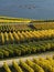 Autumn in the vineyards at the river rhine near RÃ¼desheim