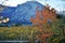 The Autumn vineyards of Trentino in Italy