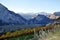 The Autumn vineyards of Trentino in Italy