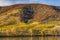 Autumn vineyards, Wachau Valley, Lower Austria, Austria