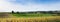 Autumn viniyards and rural landscape in dutch province of south limburg on sunny day