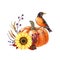 Autumn vintage style decor with pumpkin and american robin bird. Watercolor illustration. Pumpkin, leaves, berries